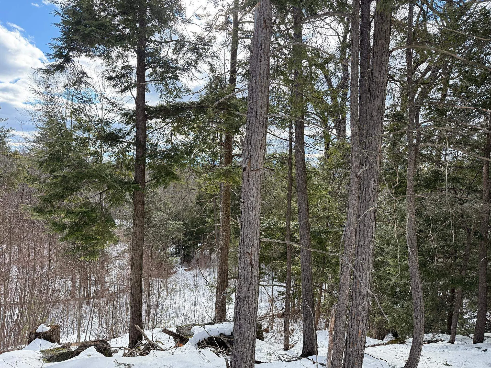 Province Road Belmont NH 03220