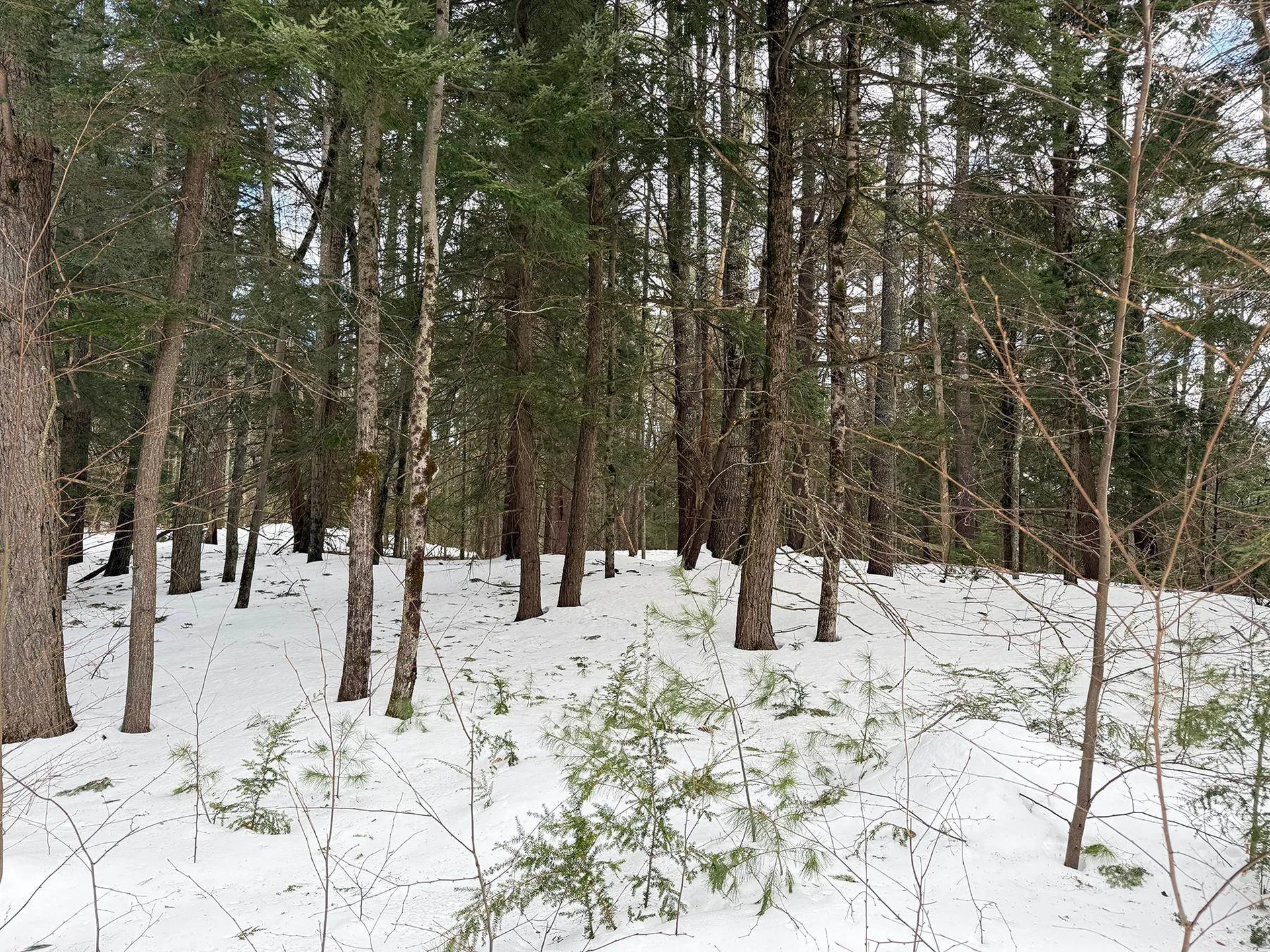 Province Road Belmont NH 03220