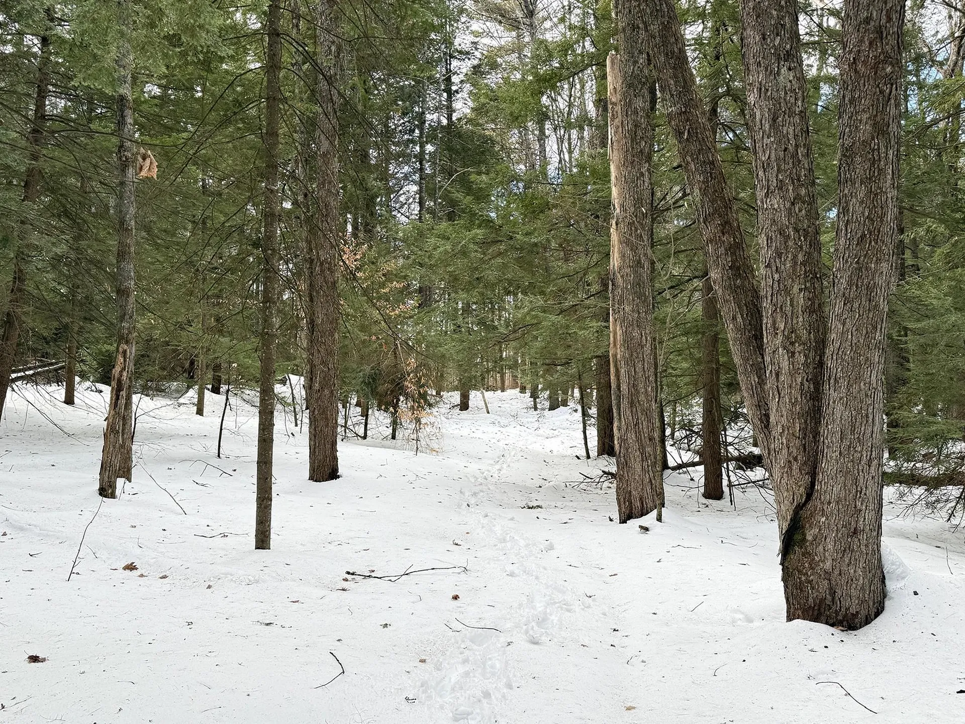 Province Road Belmont NH 03220