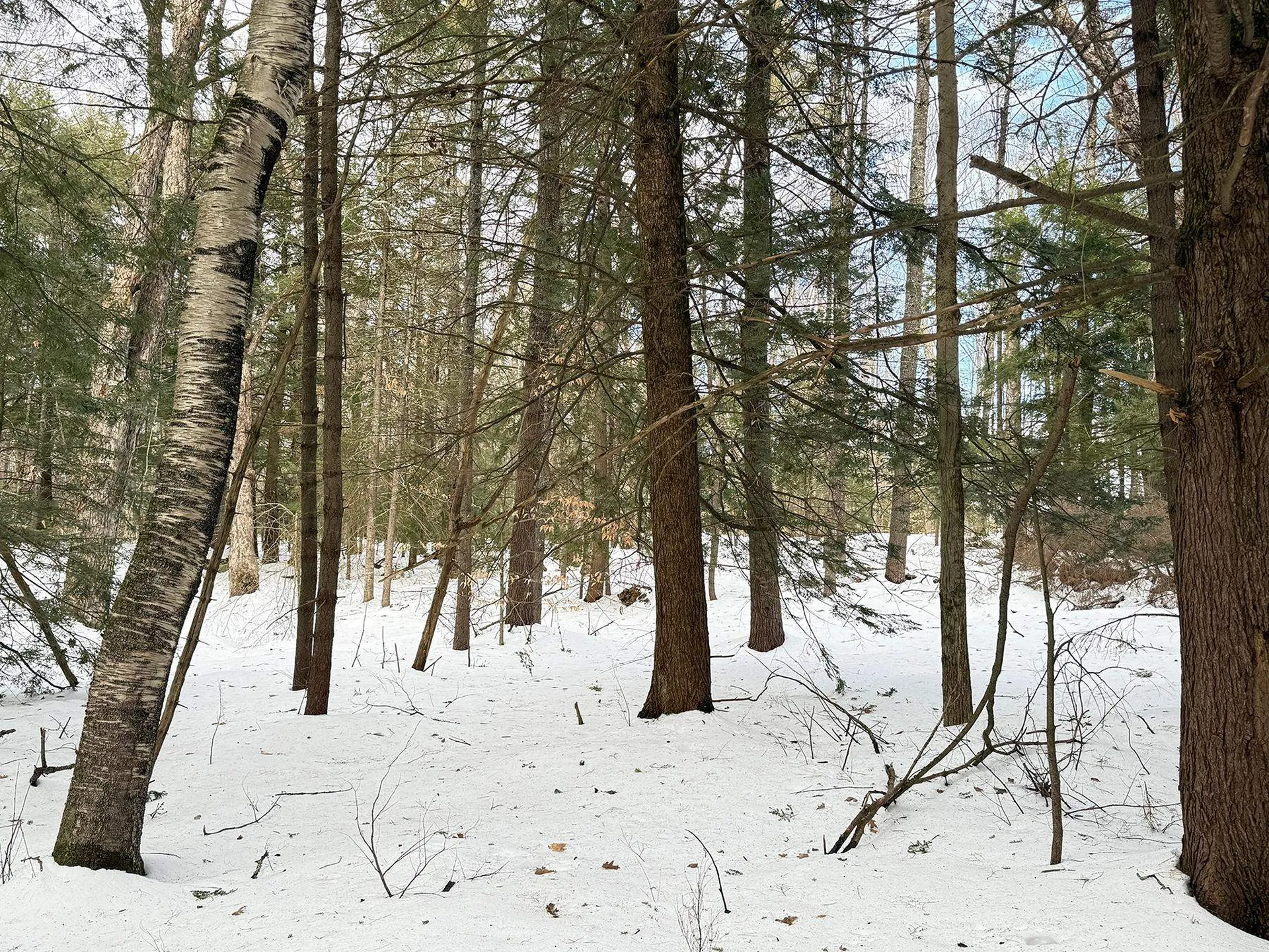 Province Road Belmont NH 03220