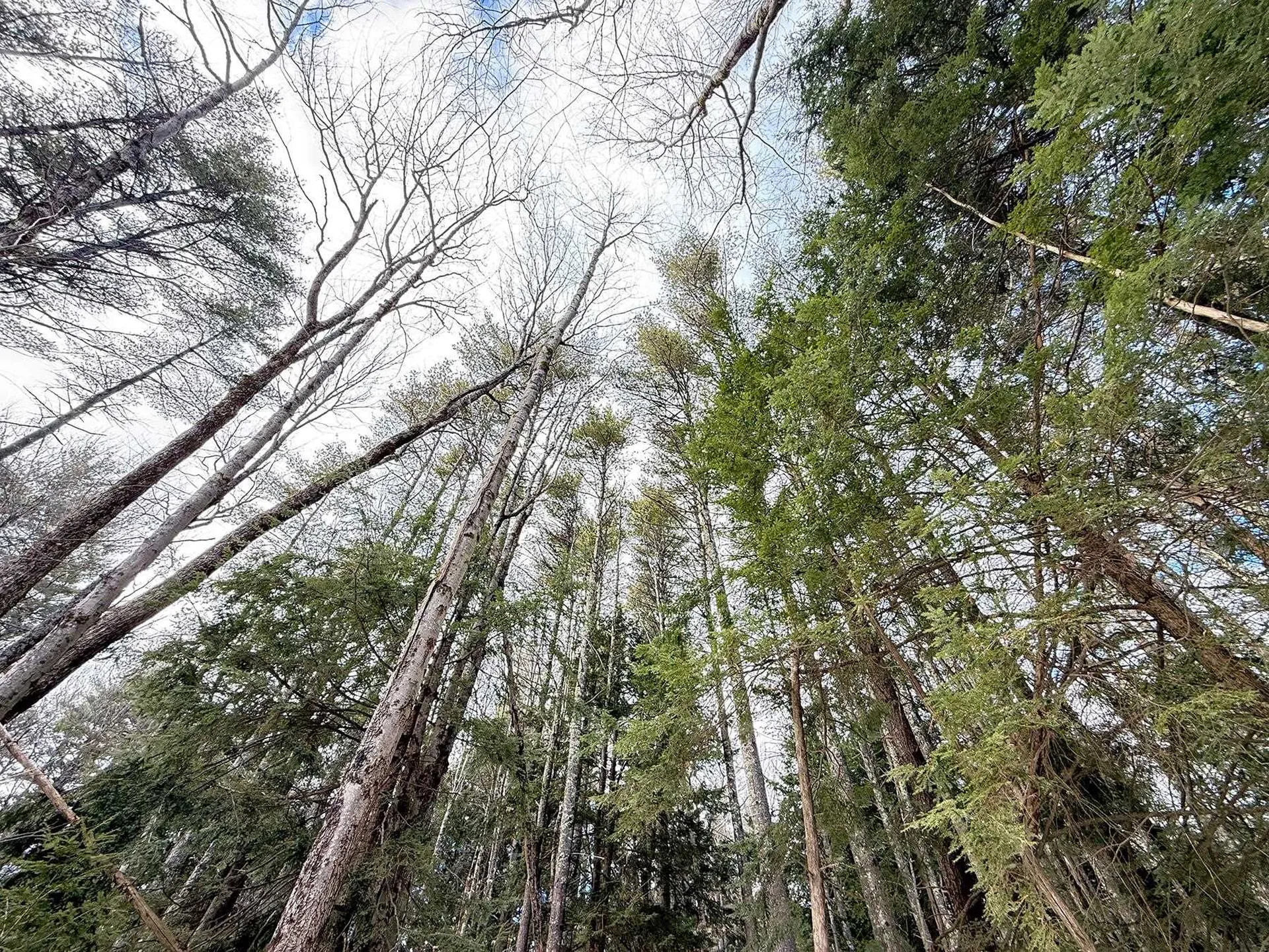 Province Road Belmont NH 03220