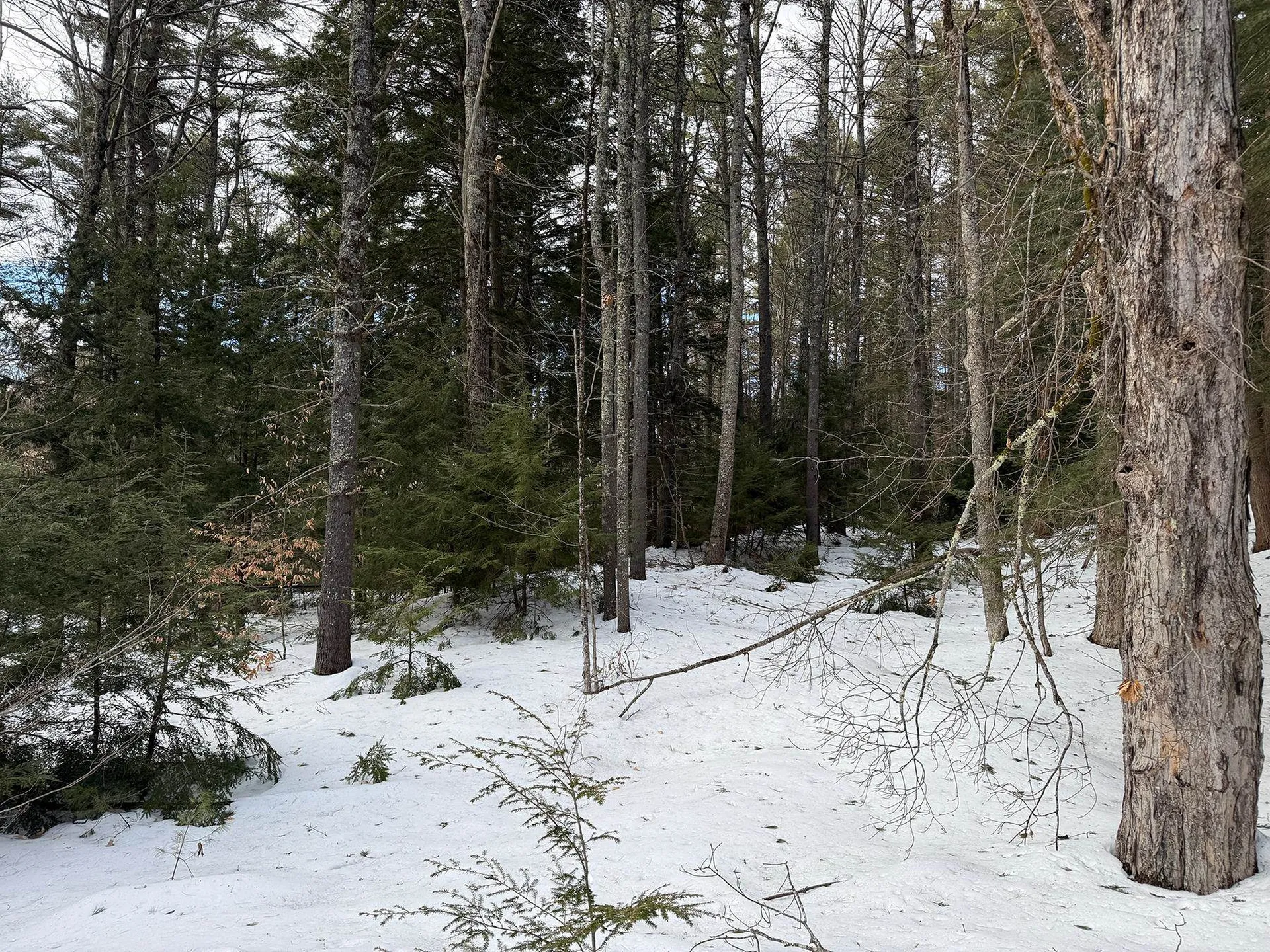 Province Road Belmont NH 03220