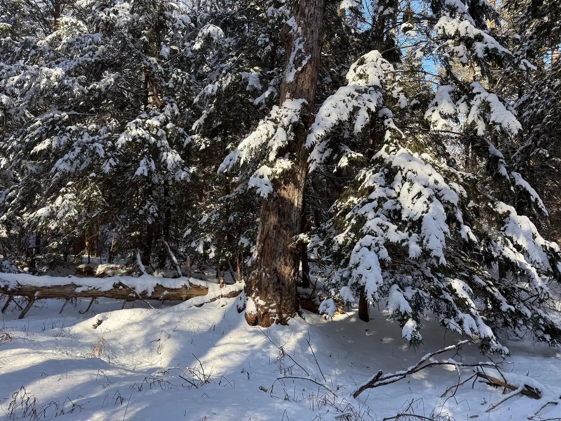 Province Road Belmont NH 03220