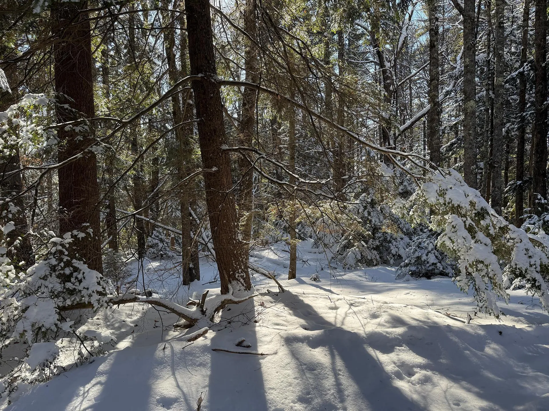 Province Road Belmont NH 03220