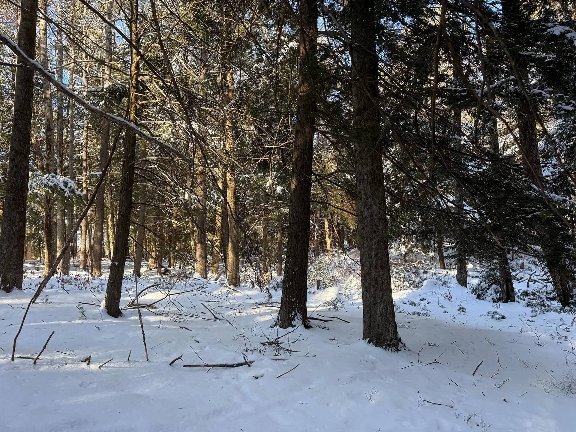 Province Road Belmont NH 03220