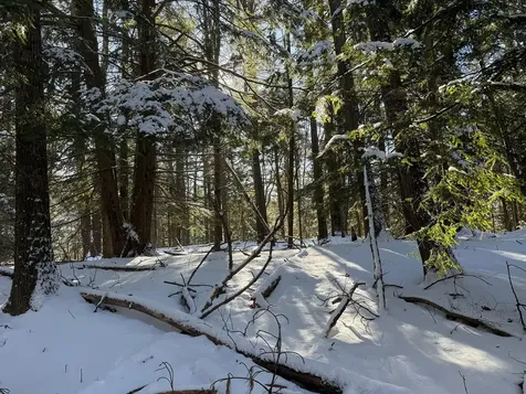 Province Road Belmont NH 03220