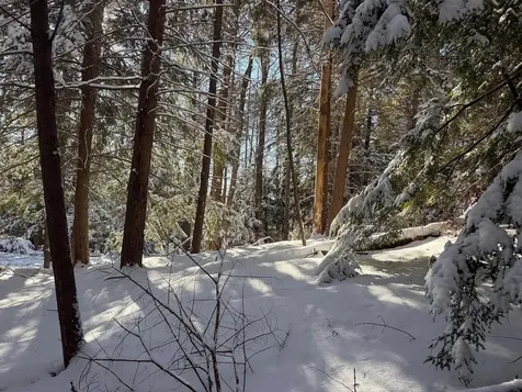 Province Road Belmont NH 03220