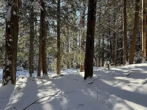 Province Road Belmont NH 03220