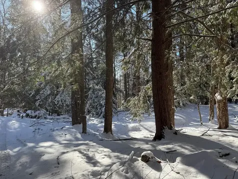 Province Road Belmont NH 03220