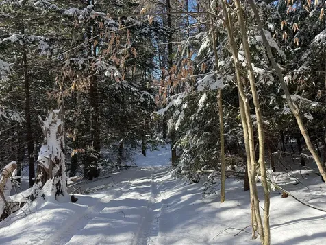 Province Road Belmont NH 03220