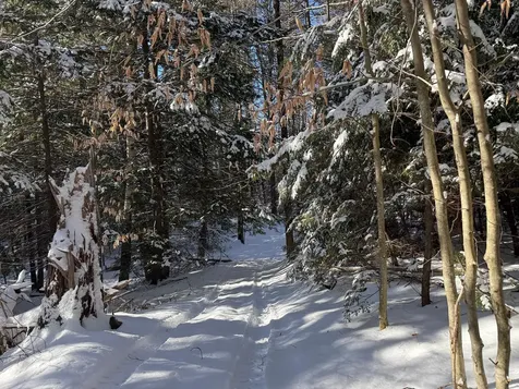 Province Road Belmont NH 03220