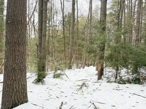 Province Road Belmont NH 03220