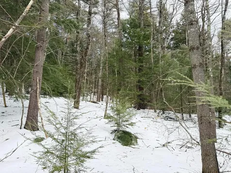 Tm 226 L 26 Province Road Belmont NH 03220