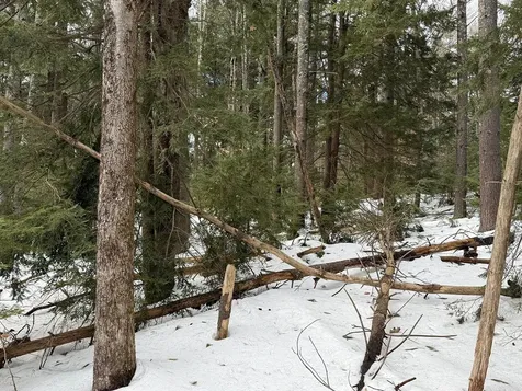 Province Road Belmont NH 03220