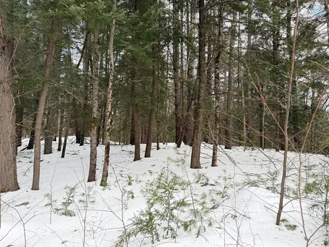 Province Road Belmont NH 03220