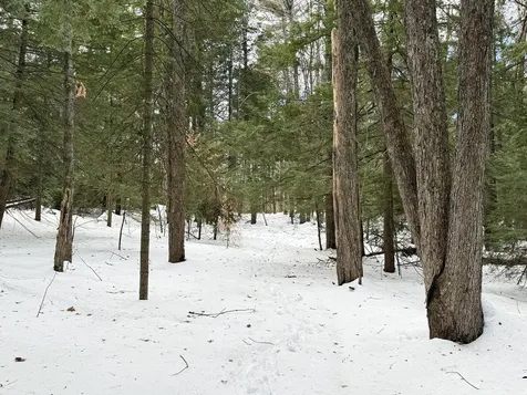 Province Road Belmont NH 03220