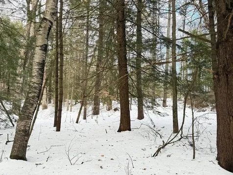 Province Road Belmont NH 03220