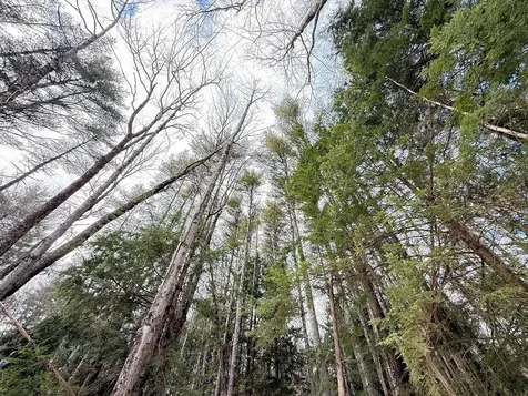 Province Road Belmont NH 03220