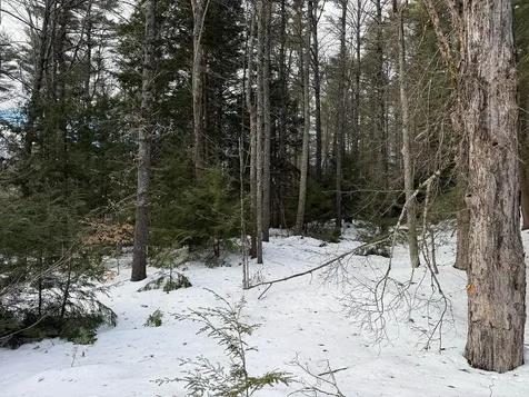 Province Road Belmont NH 03220