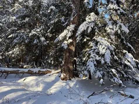 Province Road Belmont NH 03220