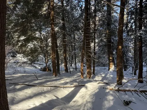 Province Road Belmont NH 03220