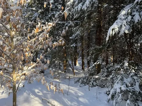 Province Road Belmont NH 03220