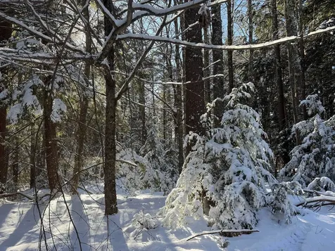 Province Road Belmont NH 03220