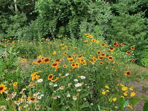 3 Brewster Heights Wolfeboro NH 03894