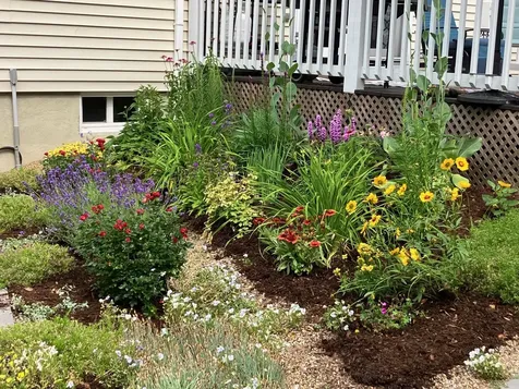 3 Brewster Heights Wolfeboro NH 03894