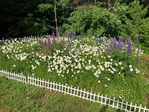 3 Brewster Heights Wolfeboro NH 03894