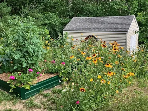 3 Brewster Heights Wolfeboro NH 03894