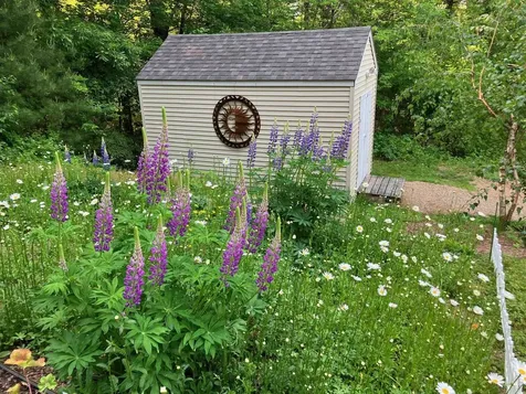 3 Brewster Heights Wolfeboro NH 03894