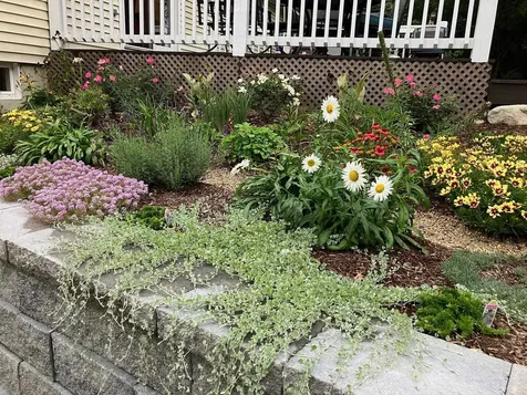 3 Brewster Heights Wolfeboro NH 03894