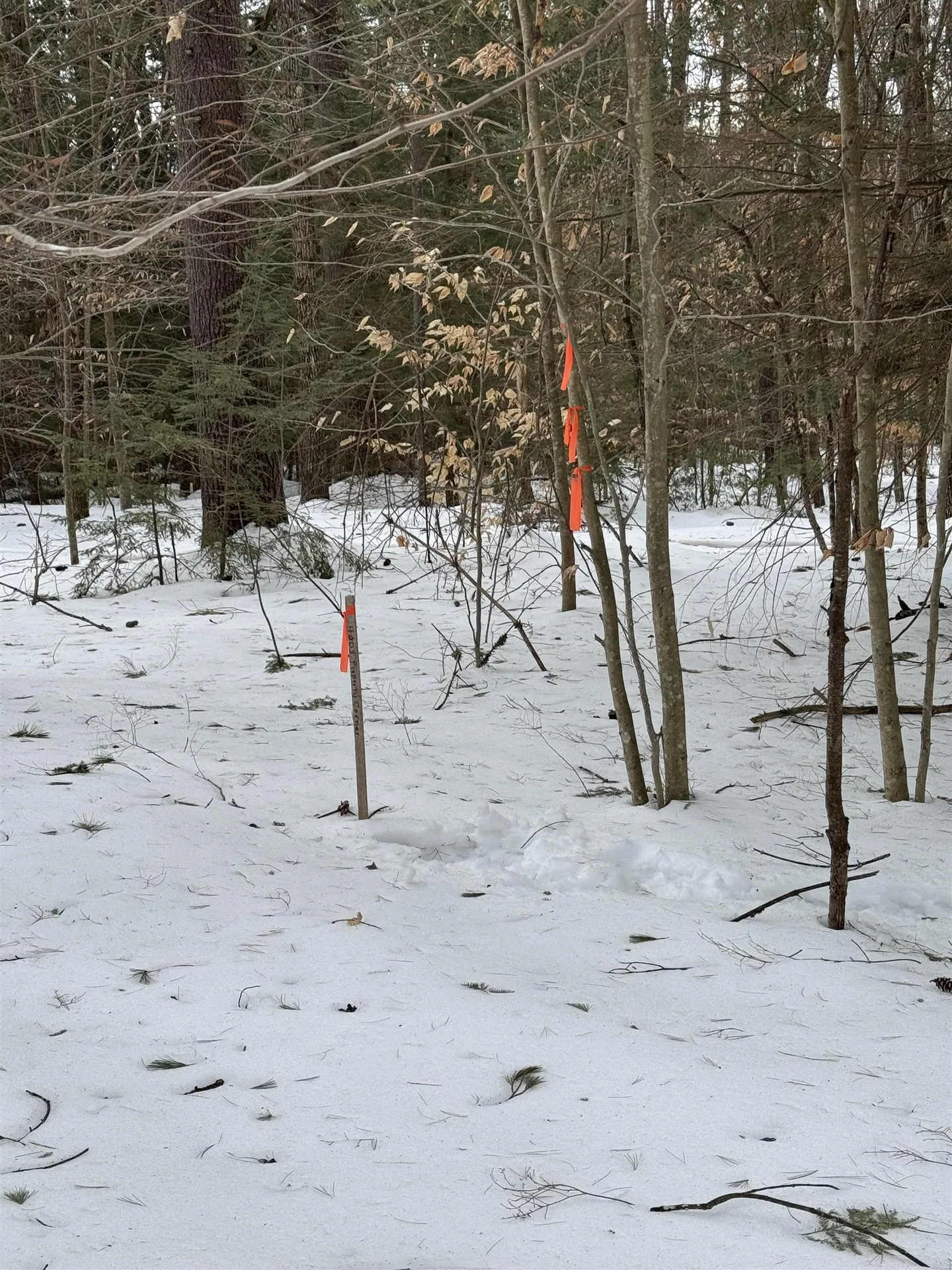 Lot 5-4-48-d Birchdale Road Bow NH 03304