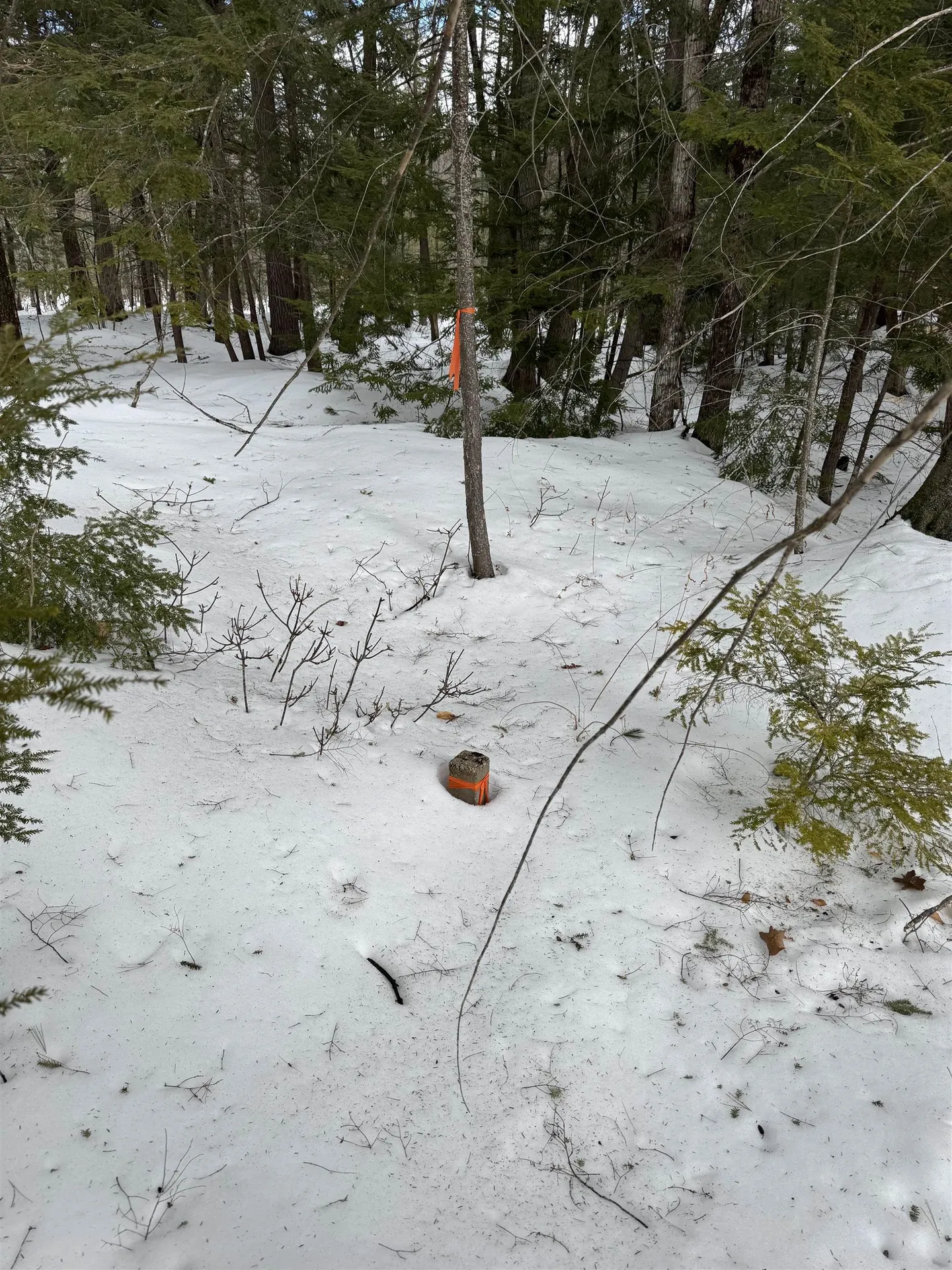 Lot 5-4-48-d Birchdale Road Bow NH 03304