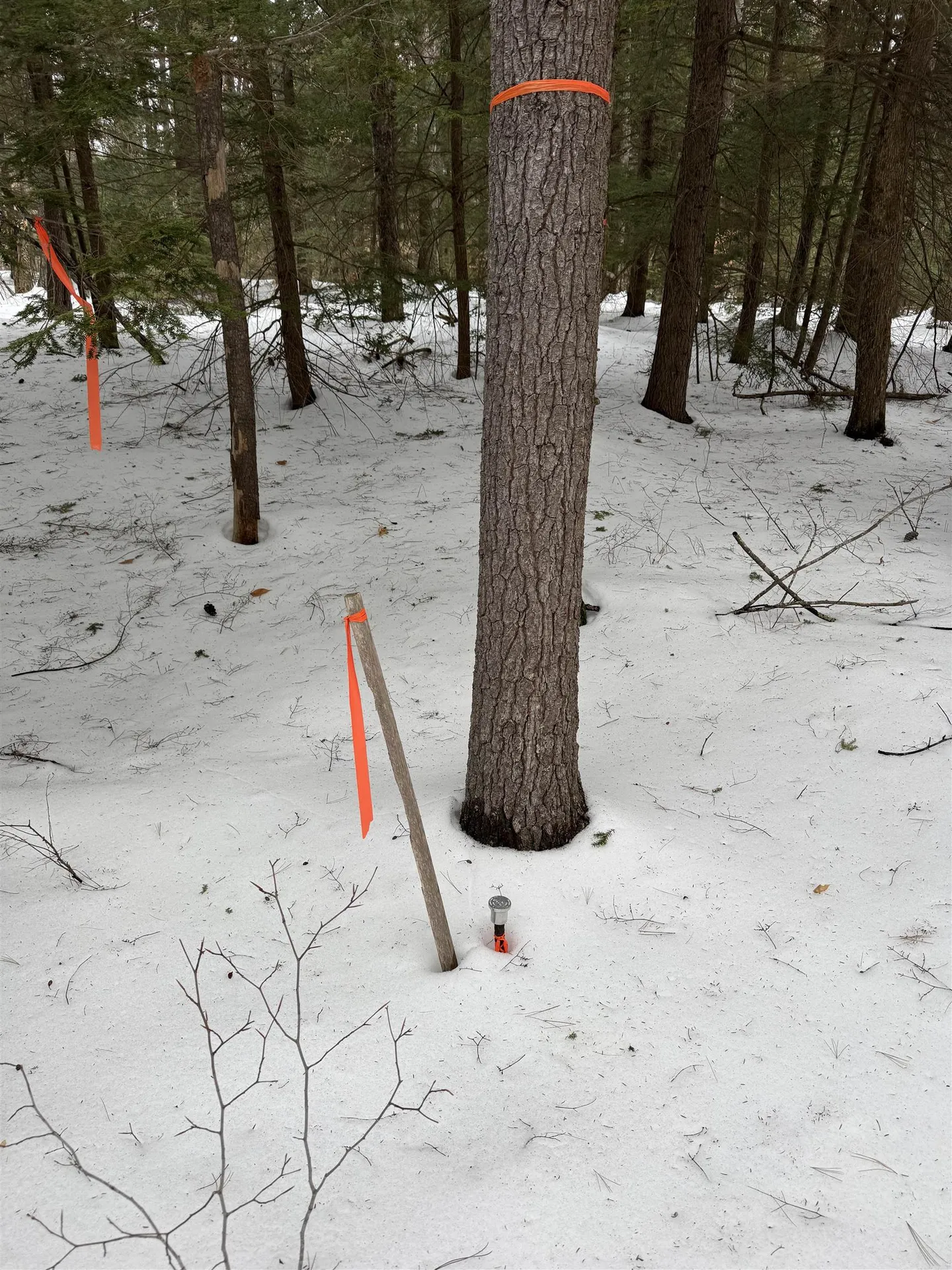 Lot 5-4-48-d Birchdale Road Bow NH 03304