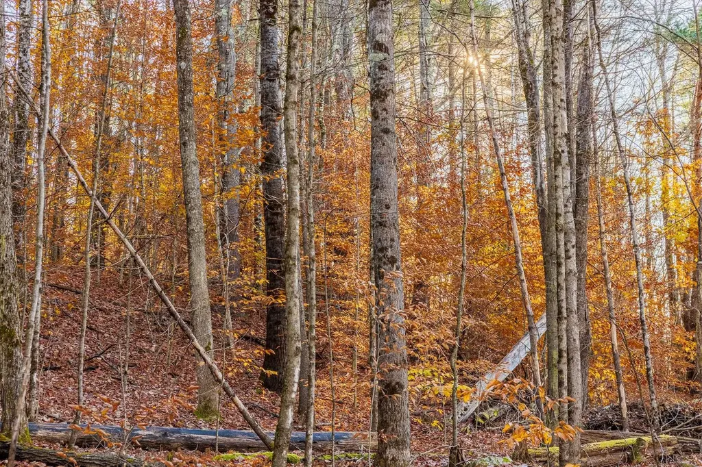 00 Meadow Lake Drive Mendon VT 05701