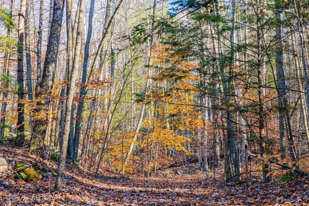 00 Meadow Lake Drive Mendon VT 05701