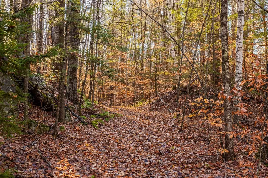 00 Meadow Lake Drive Mendon VT 05701