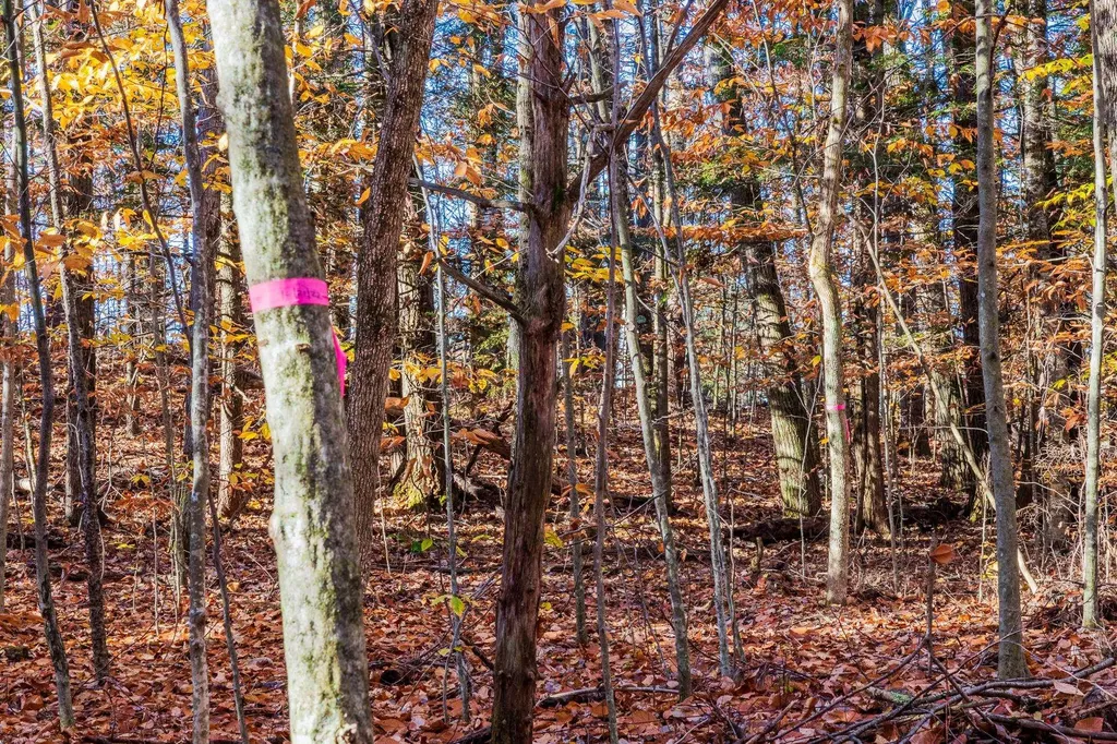 00 Meadow Lake Drive Mendon VT 05701