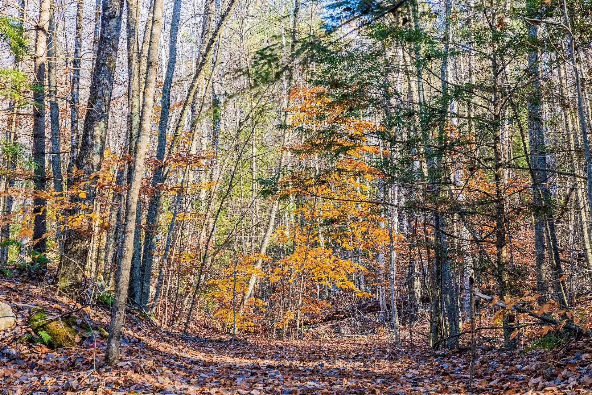 00 Meadow Lake Drive Mendon VT 05701