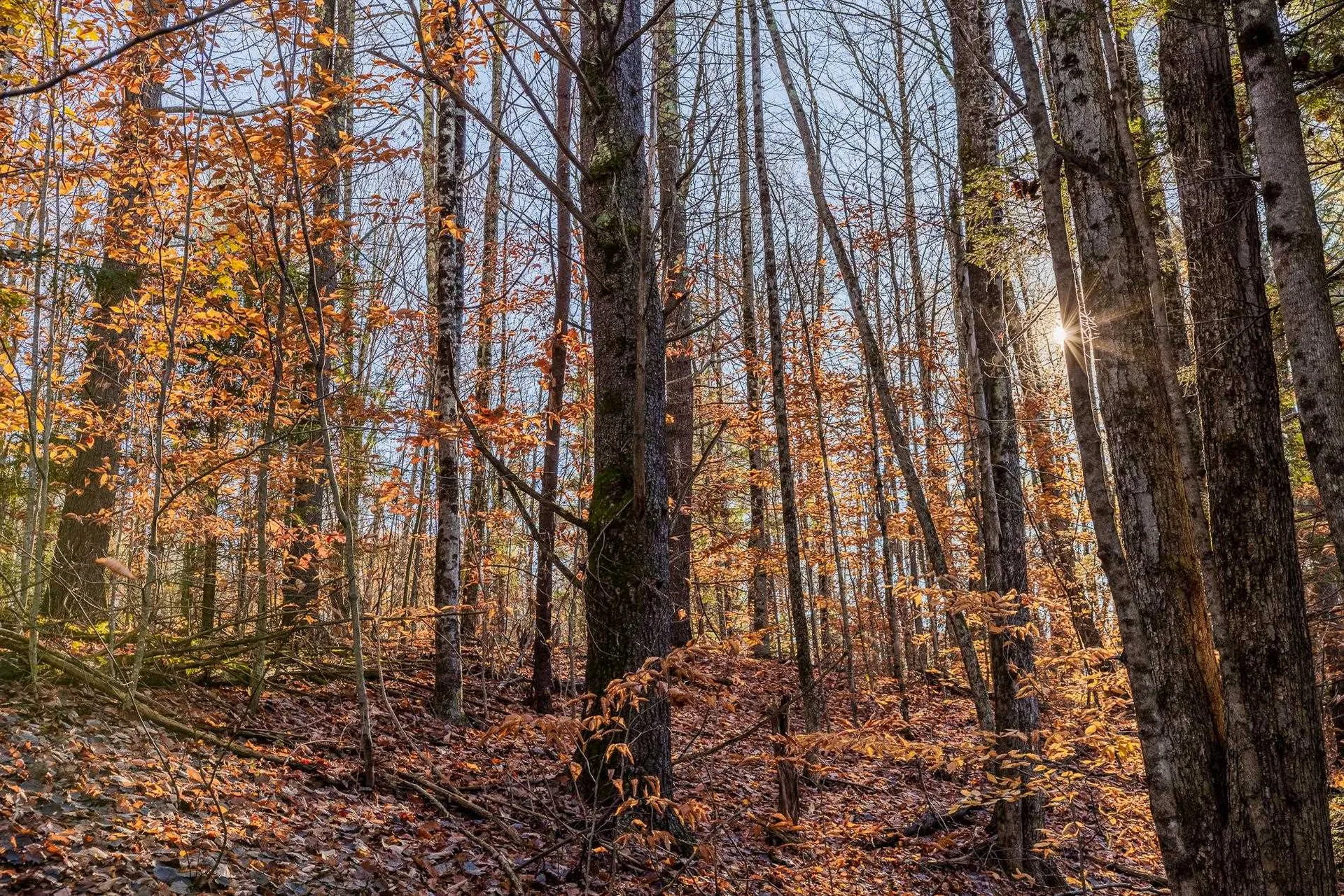 00 Meadow Lake Drive Mendon VT 05701