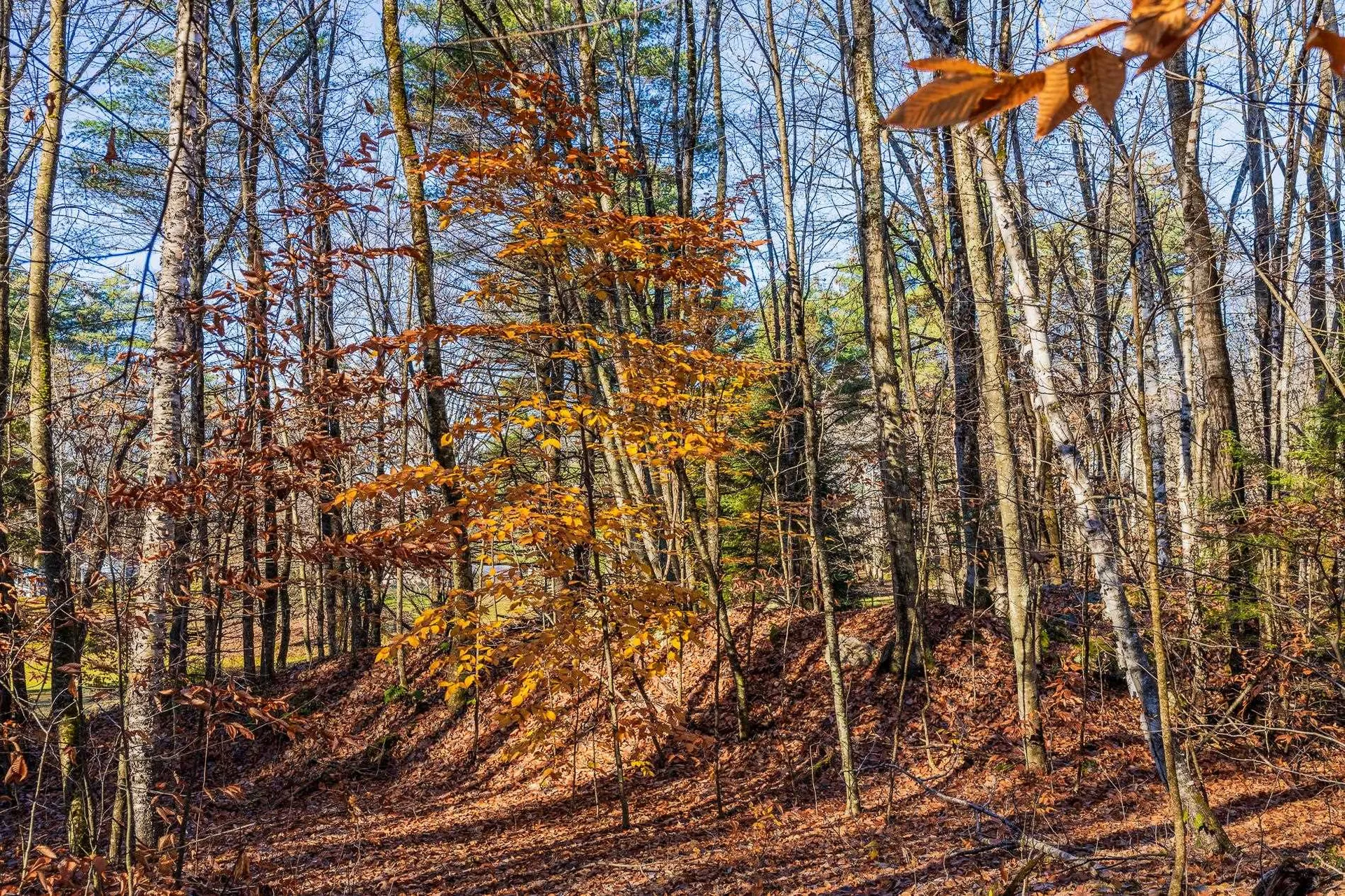 00 Meadow Lake Drive Mendon VT 05701