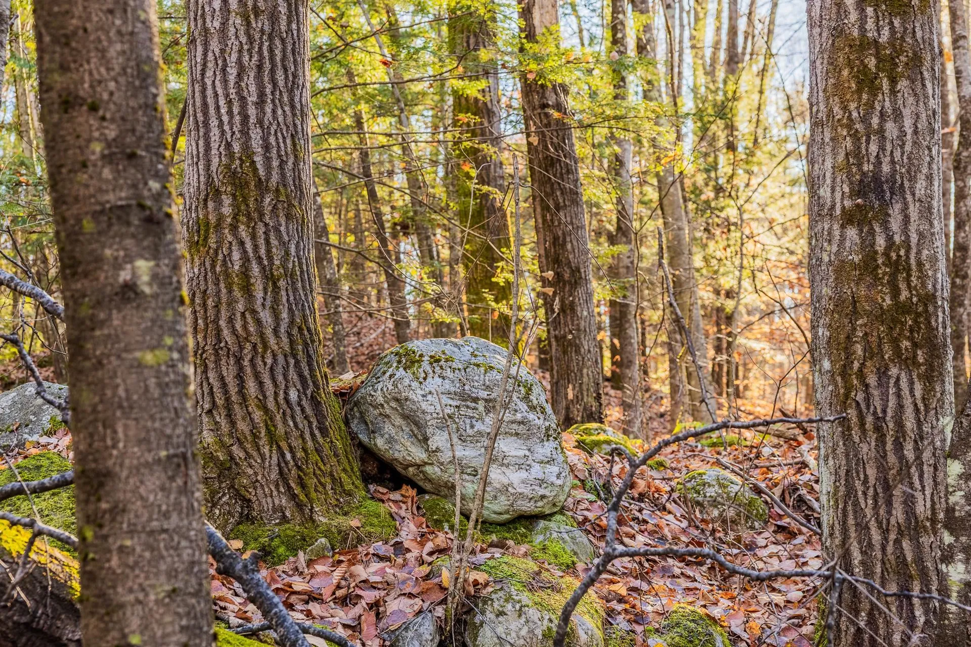 00 Meadow Lake Drive Mendon VT 05701