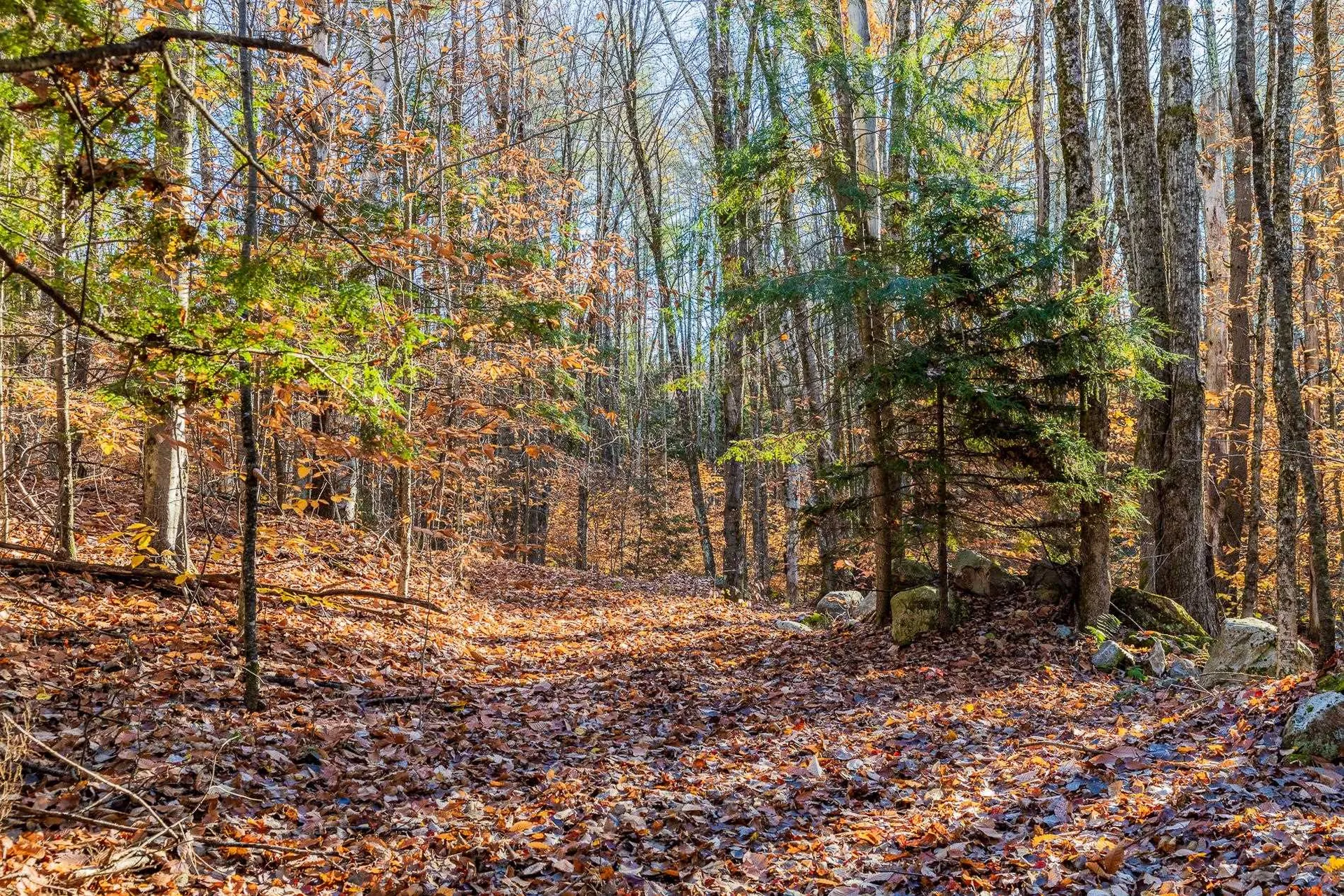 00 Meadow Lake Drive Mendon VT 05701