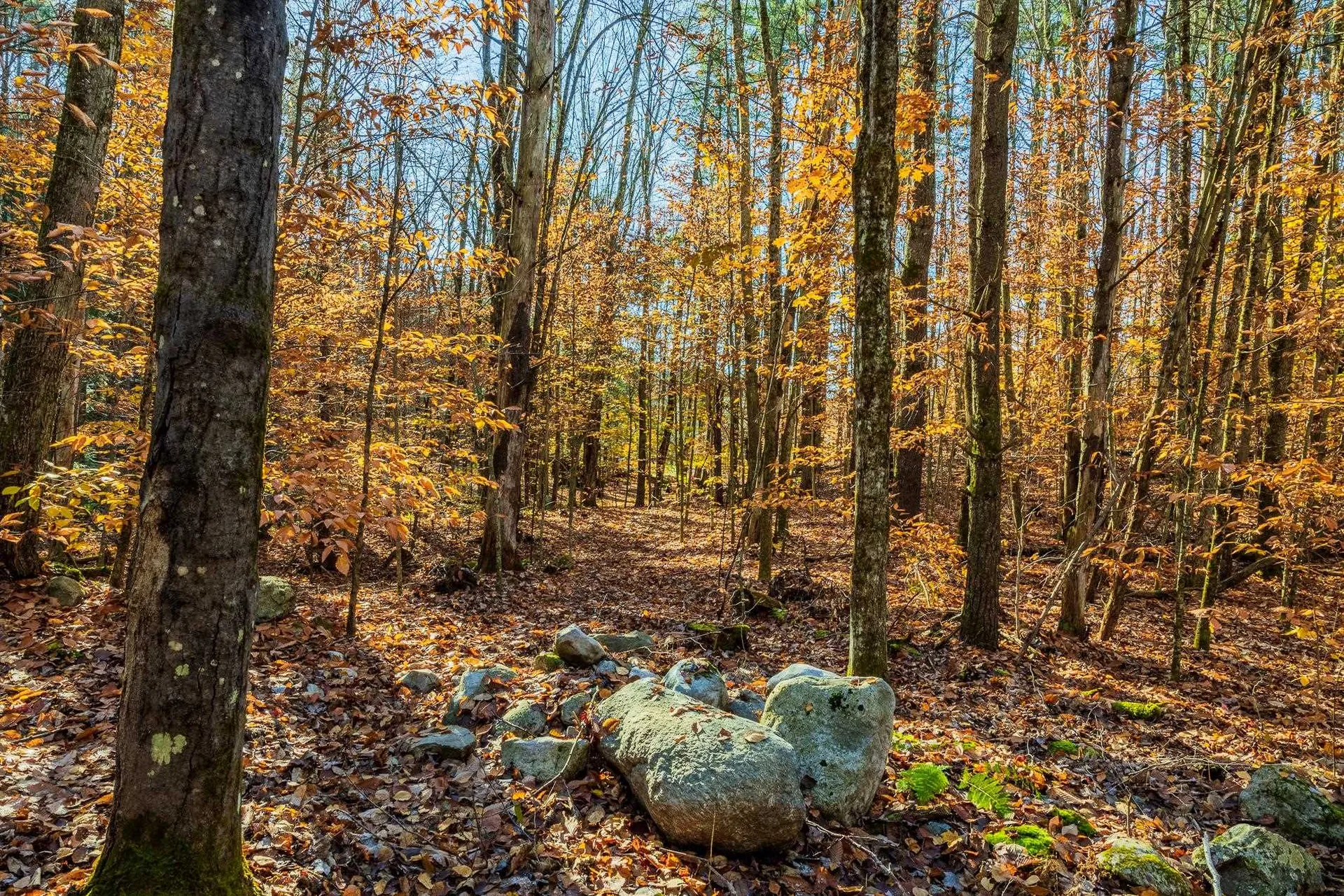 00 Meadow Lake Drive Mendon VT 05701