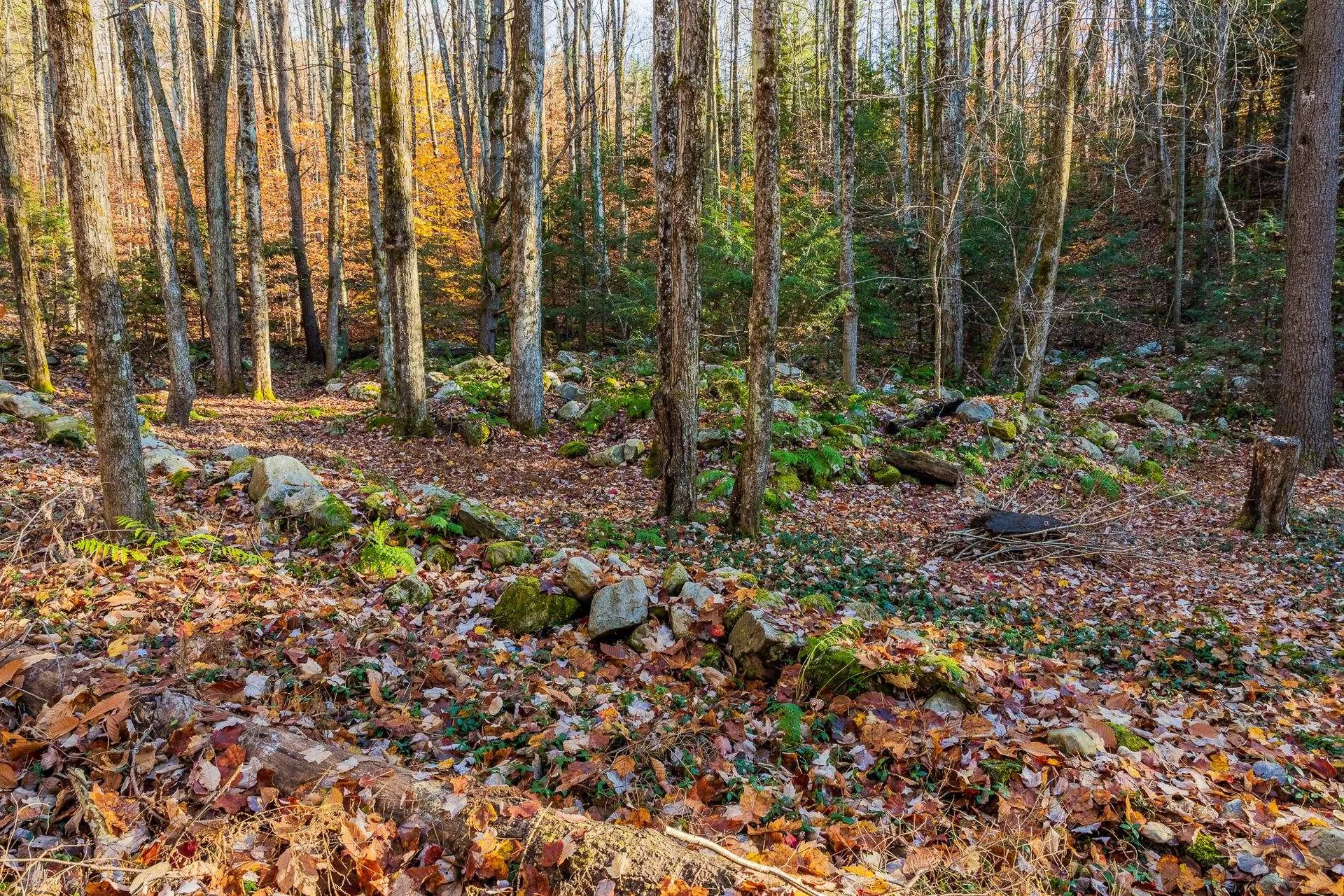 00 Meadow Lake Drive Mendon VT 05701