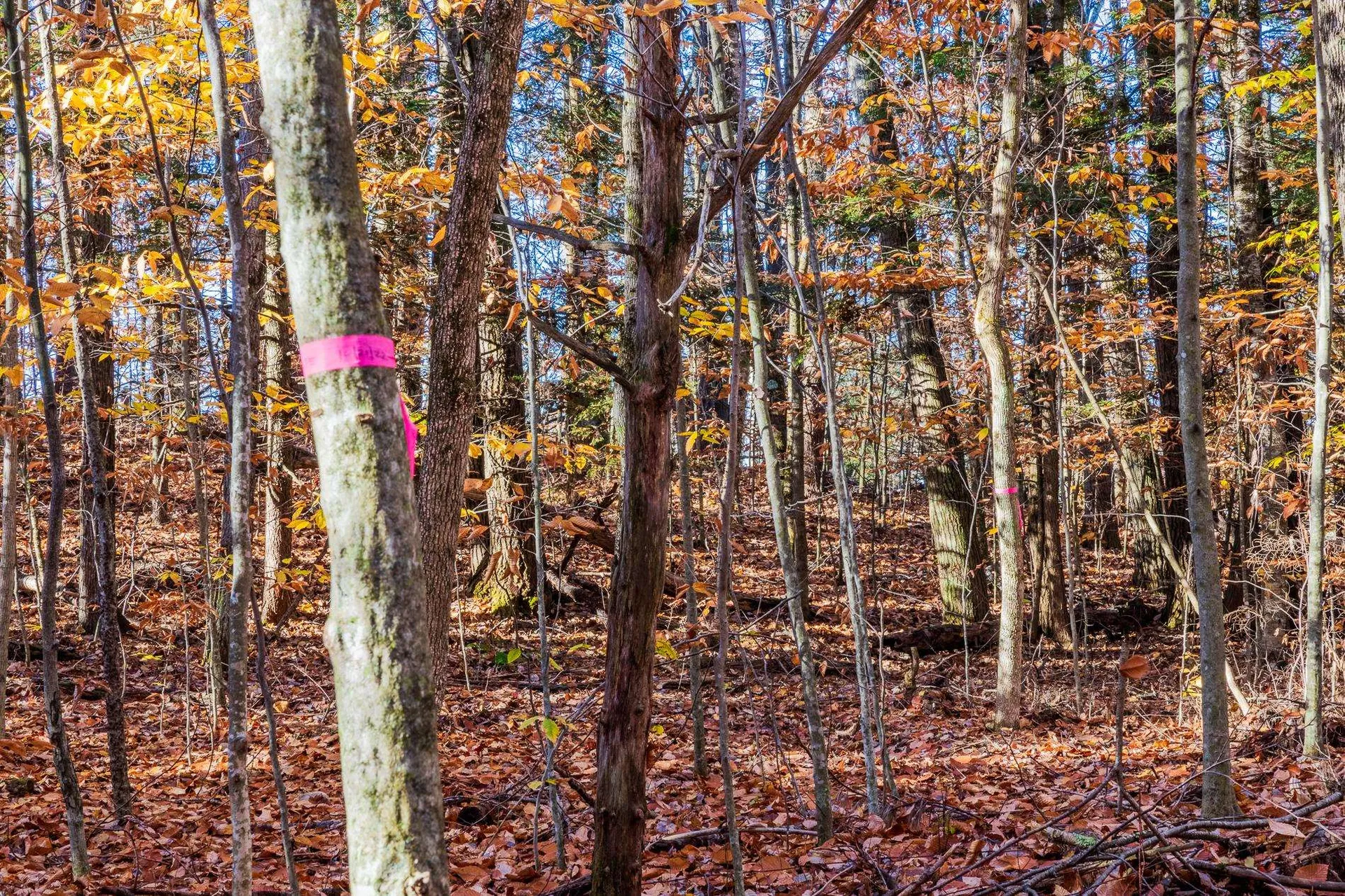 00 Meadow Lake Drive Mendon VT 05701