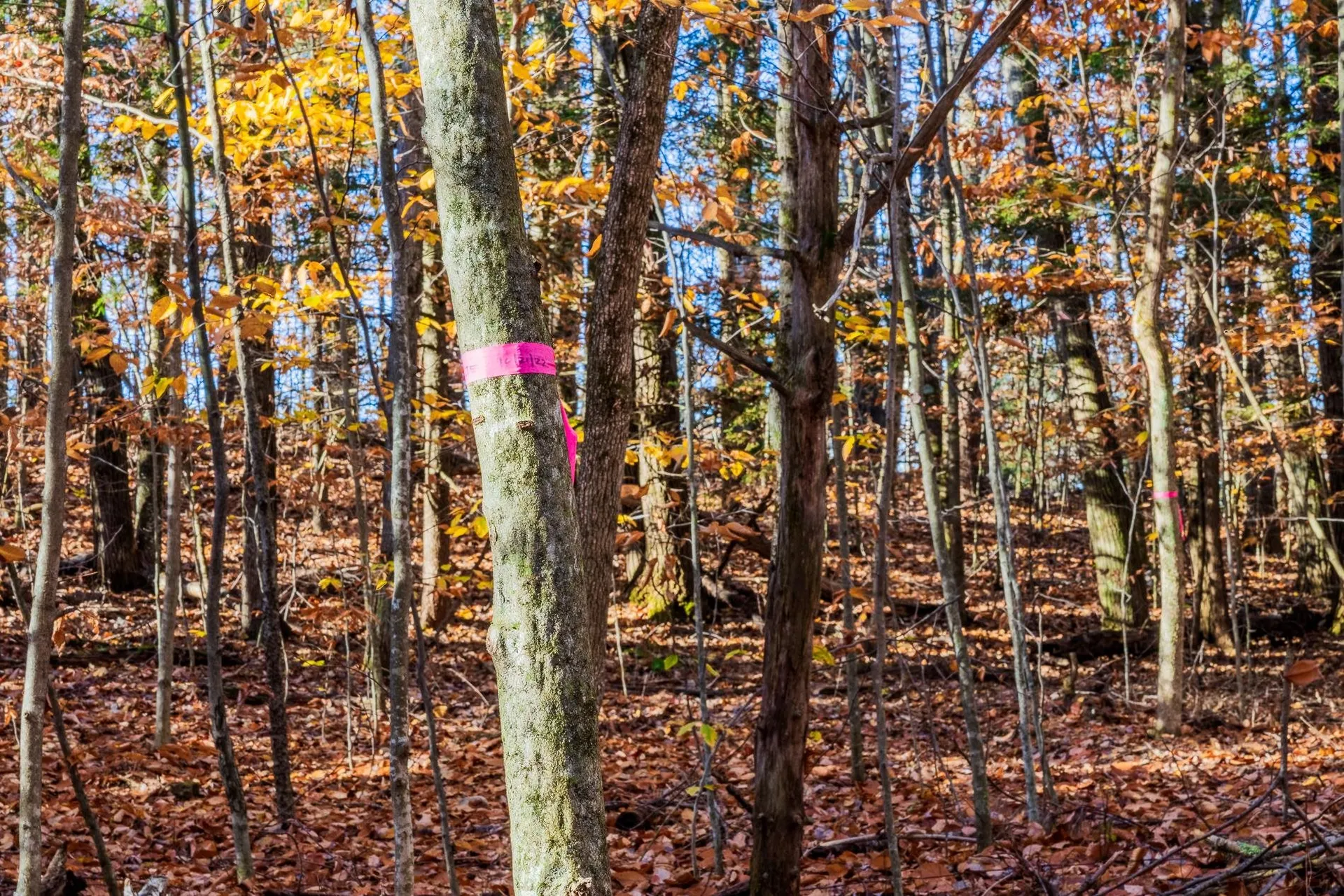 00 Meadow Lake Drive Mendon VT 05701