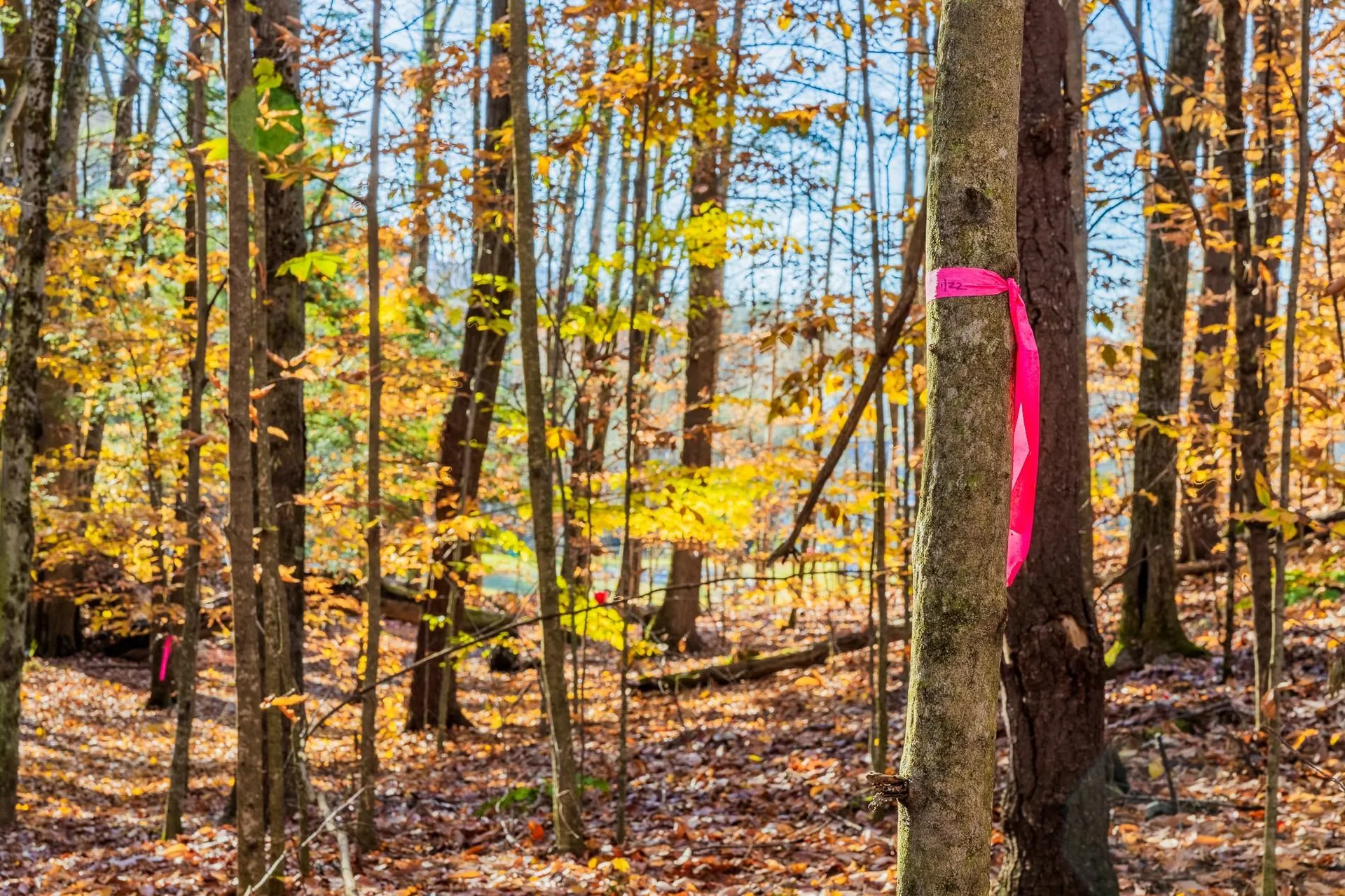 00 Meadow Lake Drive Mendon VT 05701